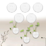 5 t&uuml;kki Lilleterraarium H&uuml;dropooniline vaas V&auml;ike dekooriga konksuga seinakonksud kohviistandus 8cm