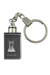 Xoloitzcuintle, Mexican Hairless Dog, Xoloitzquintle - Crystal key ring with dog photo, illuminated key ring, unique gift by Art-Dog brand