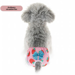 Uus mudel sobib kevadeks ja suveks, hingavad kutsikakassi f&uuml;sioloogilised p&uuml;ksid, lemmiklooma f&uuml;sioloogilised p&uuml;ksid, kutsika f&uuml;sioloogilised p&uuml;ksid. S