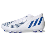 Adidas Predator Edge.2 Muruv&auml;ljaku Jalgpallisaapad Meeste Jalgpallisaapad Valge Sinine GW6146 40⅔