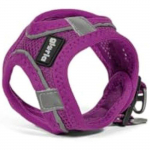 Harnais pour chien - GLORIA - Trek Star - Taille XXS - Couleur Violet - Dimensions 15,16x1,73x19,77 cm puhas