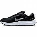 Nike Air Zoom Structure 24 Must Puhta plaatina DA8535-002 44.5