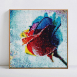 Teemantmosaiik T&auml;ieliku paigutusega taim Kodukaunistus Roos Teemantmaalimine &Uuml;mmargused kivid N&auml;put&ouml;&ouml; 30x30