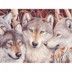 T&auml;is&uuml;mmargune teemant 5D DIY Teemanttikandid Wolf Crowd Teemantmaal Ristpistes Rhinestone 20X30CM