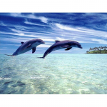 Teemantmaal Teemanttikandid H&uuml;ppav delfiin 20X30CM