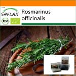 SAFLAX - Aed kotis - Orgaaniline - Rosmariin - 40 seemet - Substraadiga sobivas p&uuml;stijas kotis - Rosmarinus officinalis