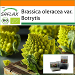 SAFLAX - Aed kotis - Mahe - Lillkapsas - Romanesco - 50 seemet - Substraadiga sobivas p&uuml;stises kotis - Brassica oleracea