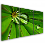 Kolmeosalise pildiga l&otilde;uendiprint Leafy Rosy Drops 60x40 roheline