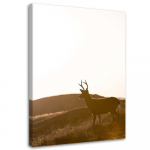 L&otilde;uendiprint Deer Animals Meadow 40x60 pruun