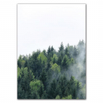 Loodus Udu Mets Maastik L&otilde;uend Maalid P&otilde;hjamaade maastik Plakatid ja tr&uuml;kised Seinakunstipildid elutoa sisekujunduseks HD0053 21x30cm no frame