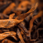 2016 Guangdongi Xinhui Mandarine Puer Ripe Tea Little Green Mandarine Shu Puer 500g