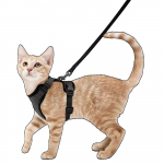 Kasside rakmed ja jalutusrihm k&otilde;ndimiseks, p&otilde;genemiskindlad pehmed reguleeritavad vestirakmed kassidele, hingavad helkurribadega jope XS must