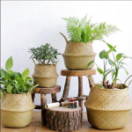 Seagrass Belly Basket Storage Plant Pott Kokkupandav lasteaia pesukott Ruumi sisustus 23x20cm