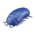 Bandai ehtsad Gashapon m&auml;nguasjad Suur putukas Rullik&auml;rblane Rullik&auml;rblane Lepatriinu Suur isopod Liigenditega liigutatav Simulatsioonimudel Kaunistused V&otilde;lud 7cm--14cm gray