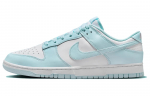 Nike Dunk Low 'Glacier Blue' DV0833-104 44