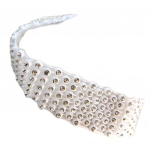 Les Tr&eacute;sors De Lily [P4845] - Designer Choker 'Sissi' valge - 2,5 cm valge