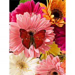 5D teemantmaaling liblikas lilled DIY teemanttikandid ristpistes 20X30CM