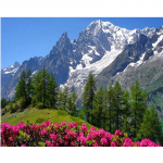 T&auml;ielik 5D Teemantmaal Lumem&auml;estiku maastik Tikand Ristpistes Kodukaunistus K&auml;sitsi valmistatud kingitus 25x30cm