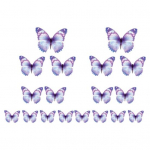 18 tk/komplekt kingitused Liblikad koogikatted Erksa pildiga, vastupidav kunstliku kujuga siset&uuml;kk