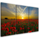 Kolmeosalise pildiga l&otilde;uenditr&uuml;kk Field Poppy Sunset 60x40 punane