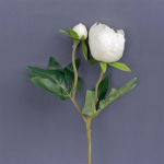 Kunstlikud kuivatatud puuvillased lilled valged lilleoksad pulmapeo kaunistamiseks V&otilde;ltslillede kodu lillekujundus Eukal&uuml;pti lehed