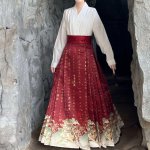 Hiina Mingi d&uuml;nastia stiilis tr&uuml;kitud Hanfu MA MIAN seelik Hanfu naiste igap&auml;evane t&ouml;&ouml;les&otilde;idu &uuml;likond L valge/beež