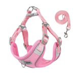 Hingav kasside rakmete vest v&auml;ikestele keskmistele koertele Rakmete jalutusrihma komplekt Kassipoegade helkurrihm Chihuahua jalutusrihm S 2-3 kg roosa