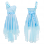 T&uuml;drukute &uuml;he &otilde;laga kleidid pidulikuks peoks, pulmadeks, lillede kandjatele, ballikleit 15-16 Years