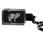 Bengal - Crystal pendant with cat photo, illuminated pendant, unique gift by Art-Dog brand