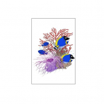 WC-kleebis Ocean Creature Coral muster WC-kaane kleebis Eemaldatav erksate v&auml;rvidega Tugev kleepuv vannitoa sisustus A