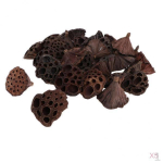 of lotus Dried Flowers Used Arrangements and Garden ( Packs)