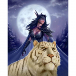 Full Drill 5D DIY Teemantmaaling World of Warcraft Whisperwind tikandid ristpistes 20X30CM