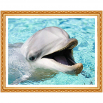 Kai Ping Mei Park Teemanttikandid 5D DIY Armas delfiinide teemantmaal Ristpistega kivikivi 20X30CM