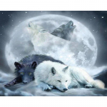 T&auml;is&uuml;mmargune puur Teemanttikandid Hunt Loomakunst Rhinestone K&auml;sit&ouml;&ouml; Teemantmaaling N&auml;put&ouml;&ouml; Kodukaunistus Full Round 20x30CM