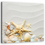 L&otilde;uendiprint Shells beach beež 30x30 beež
