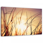 L&otilde;uenditr&uuml;kk Sunset Nature Grass Plants 60x40 lilla