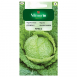 Savoia kapsas Vertus 2 seemet 2g - VILMORIN