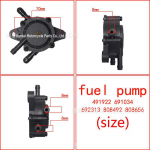 Briggs Stratton K&uuml;tusepump 491922 691034 692313 808492 80865