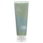 ISNtree, Mugwort Calming Clay Beauty Mask, 100 ml (3.38 fl oz)