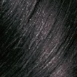 Choose 1 of 6 types of EasyN Touch vegan hair colors (both dyed and gray hair) Touch Vegan Hair Color Ash Black
