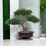 Kunstlik Tervitav Puu Potitaim Bonsai Terrassile Aknalauale