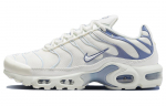 Nike Air Max Plus Ashen Slate Naiste DZ3671-104 36