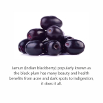 Jain Jamuni pulber (S&uuml;zygium k&ouml;&ouml;mned) 1kg | Puhta &uuml;he koostisosaga Jamuni puuviljapulber | Looduslik Ayurveda ravimtaimede lisand igap&auml;evaseks heaolu ja He