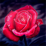 5D teemantmaaling lilled pildid teemantmosaiik ristpistes teemanttikandi roos 20X30CM