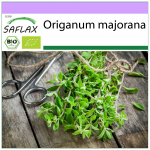 SAFLAX &ndash; Mahe &ndash; Majoraan &ndash; 700 seemet &ndash; Origanum majorana