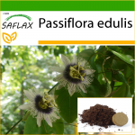 SAFLAX - Purple Granadilla - 40 seemet - Potisubstraadiga paremaks kasvatamiseks - Passiflora edulis