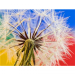 T&auml;ielik &uuml;mmargune teemantmaaling lillepildid kividest Teemanttikandite m&uuml;&uuml;k V&otilde;ilill meisterdamise mosaiik seinakunst Full Round 20x30CM