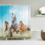 Kassi du&scaron;ikardinad vannitoa du&scaron;ikardin Armas 3D riidest konksudega du&scaron;ikardin naljakas veekindel du&scaron;ikardin v&otilde;i matt 180x200cm