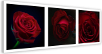 L&otilde;uendiprindiga Red Roses Set 90x30 punane