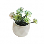 1 tk Kunstlillede sukulentne taim Bonsai DIY Aiakontori kodupeokaunistus 24#